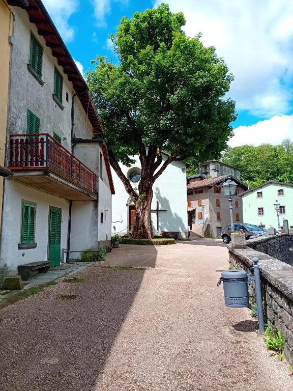 Casa l'Acerone - B&B Pian degli Ontani