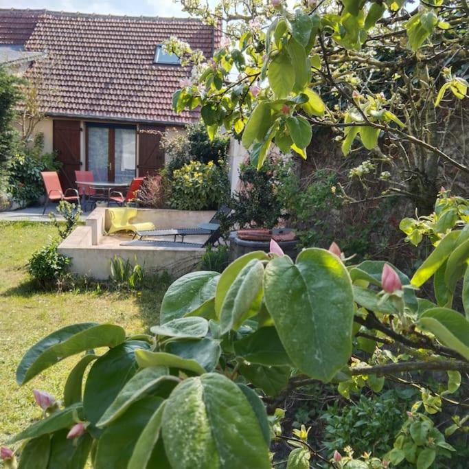 Maison de l'épinette au calme en bord de mer - B&B Cayeux-sur-Mer