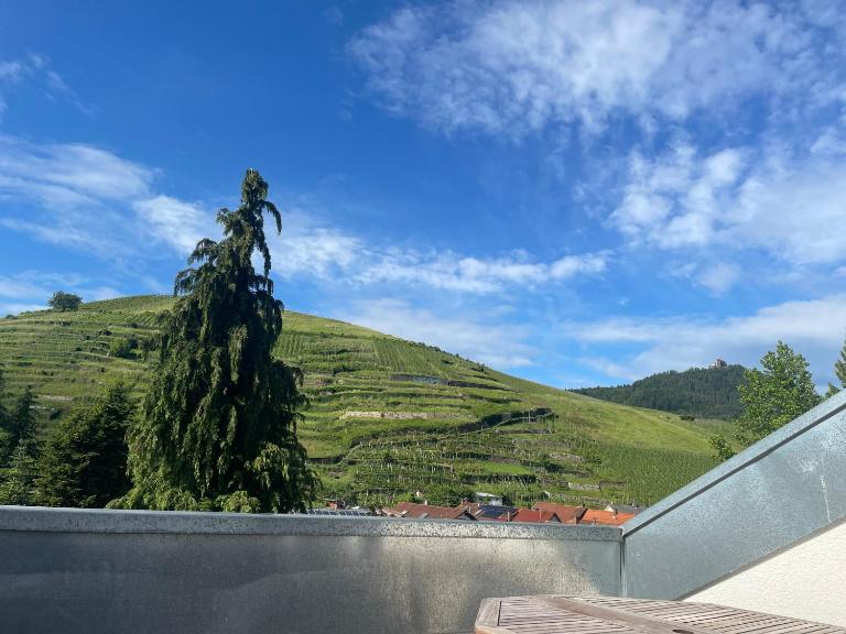 Ferienwohnung Baden-Baden Neuweier - B&B Baden-Baden