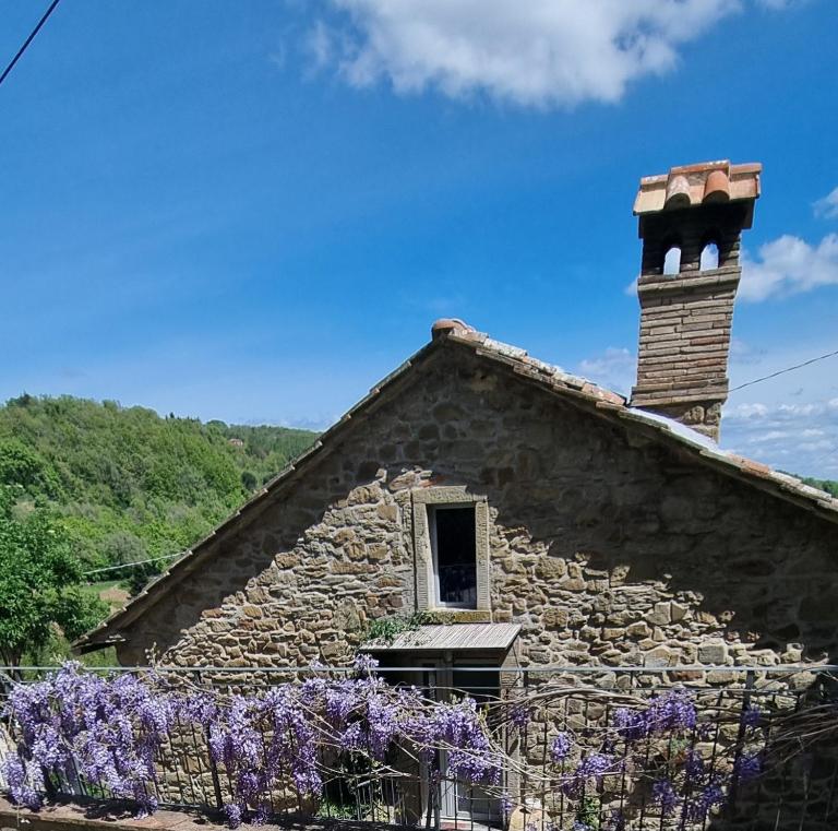Tenuta la Scure il focolare - B&B Cortona