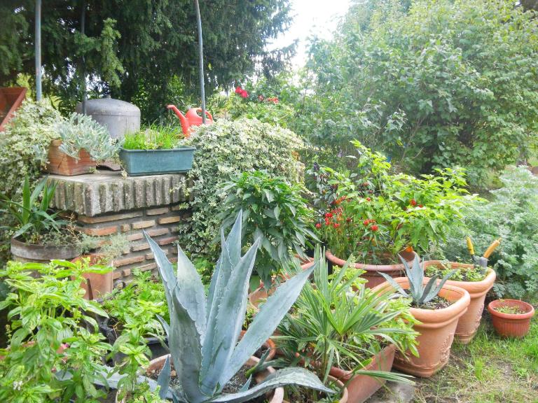 Appartamento Danilla - B&B Maratello