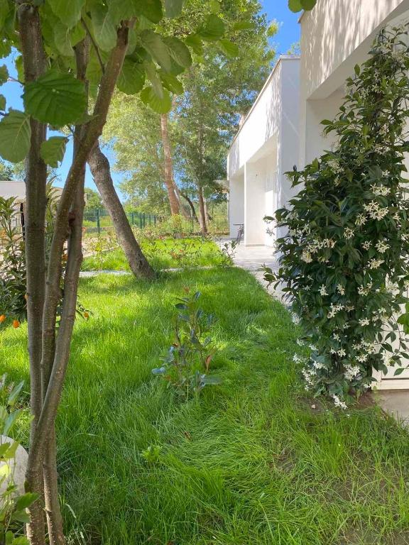 Villa Hanna - Ferienwohnung Ulcinj