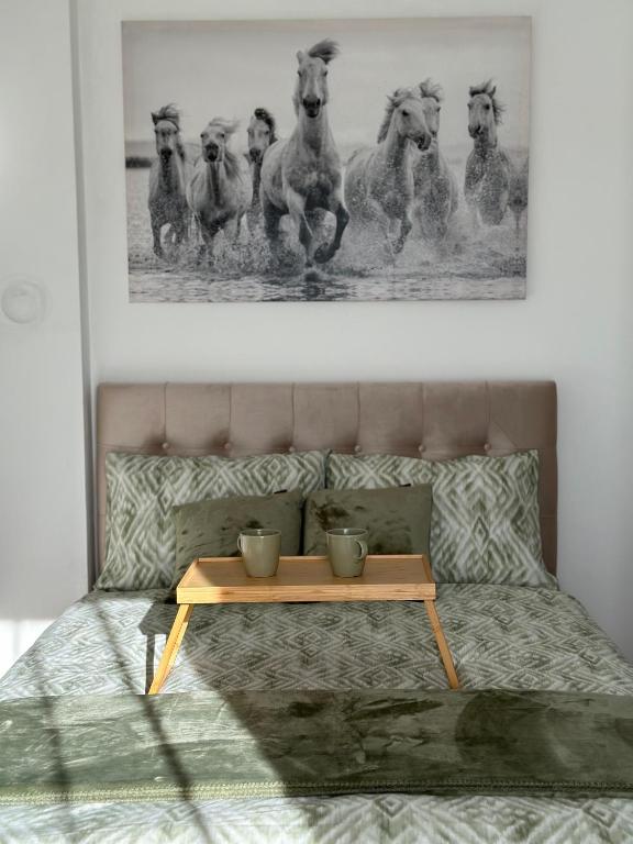 Apartman12 Banja Luka - B&B Banja Luka