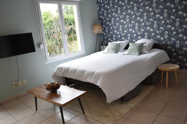 L'Aquarelle - Appartement cosy, GroupamaStadium LDLC Arena - B&B Meyzieu
