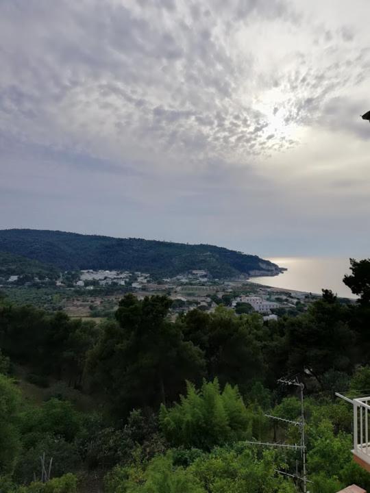 TAVAGLIONE Maria Michela - Bed and Breakfast Peschici