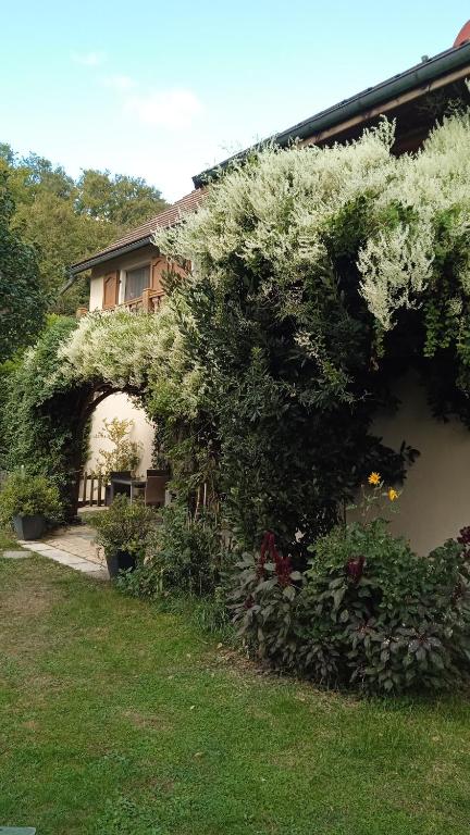 Gîte des Cèdres Ferienwohnung à Ameugny Taizé Cluny - B&B Ameugny