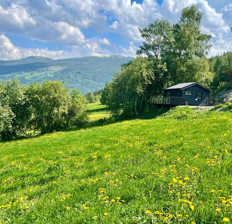 Koselig gårdshus - B&B To