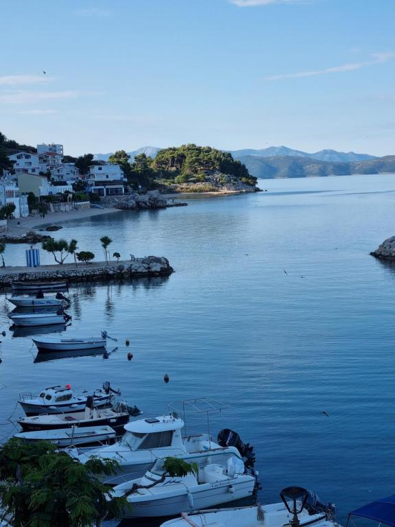 Apollo - Porat 4 Apartman - Chambres d'hôtes Drašnice