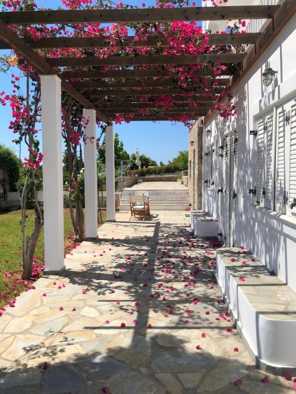 Villa Alexandros - B&B Porto Cheli