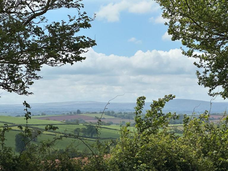 Countryside cottage near Crediton - Ferienwohnung Crediton