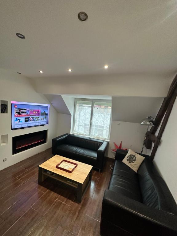 F3 2CHBS TOUT EQUIPE SULLY CENTRE - Bed and Breakfast Sully-sur-Loire