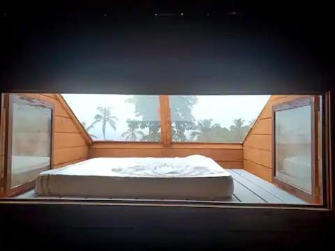 Pequeno Principe - B&B Bela Vista