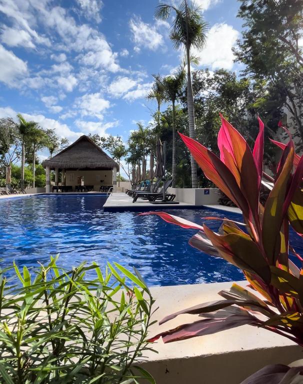 Depa en Playa 7min Mar y 5ta Av - Ferienwohnung Playa del Carmen