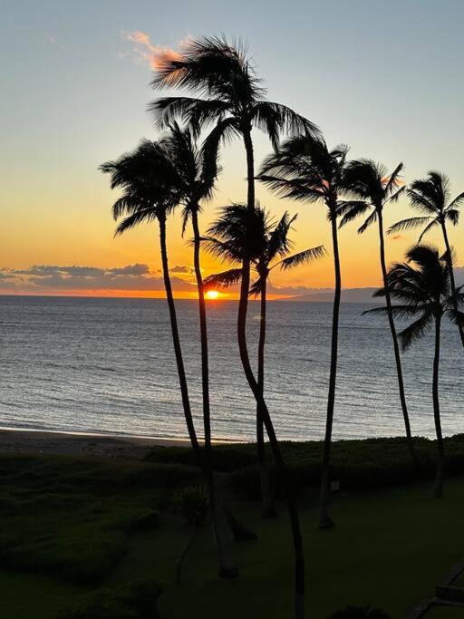 Beautiful Oceanfront, AC In Each Room, Sleeps 6 - Bed and Breakfast Kīhei