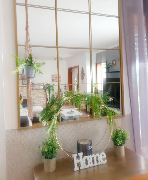 Grace House - B&B Belinho