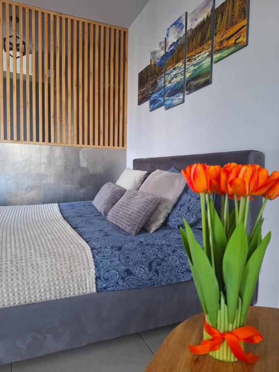 Apartament Górska Szarotka - Ferienwohnung Nowy Targ