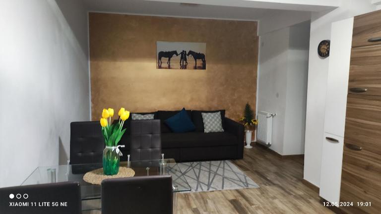 Apartament Lenus'k - Chambres d'hôtes Bucarest