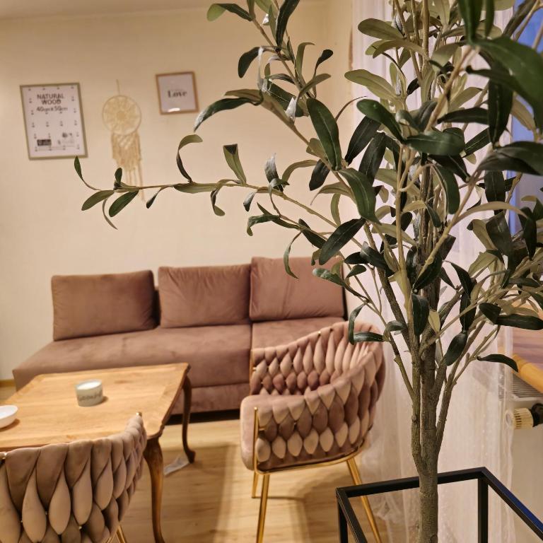 Apartamenty Magvel Szczecin - B&B Szczecin