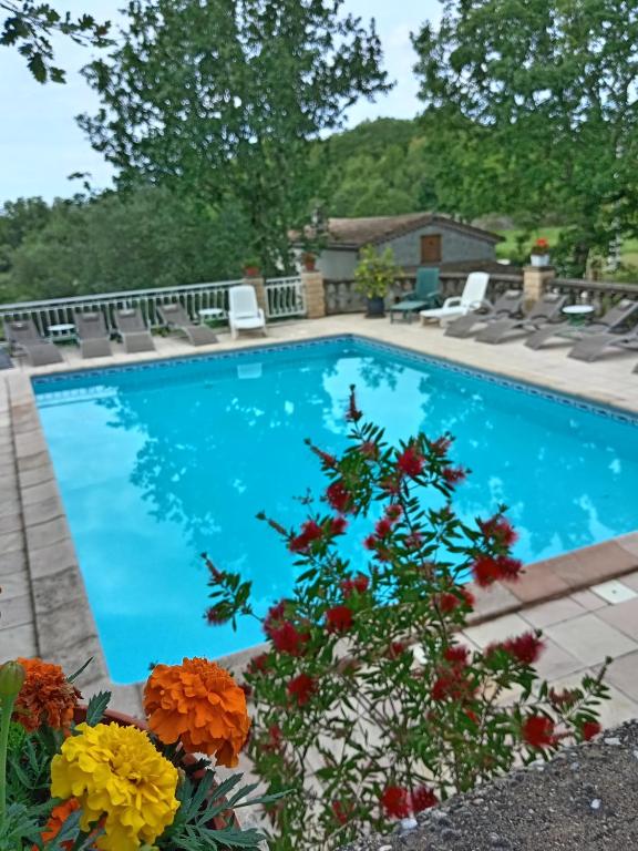 Les Papillons - B&B Labeaume
