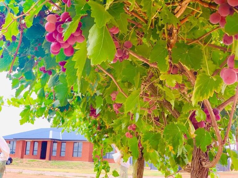 Nevid Family Home - B&B Merbein South