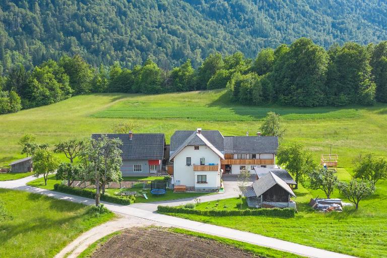 Apartments Pr Fajfarju - Bed and Breakfast Bled