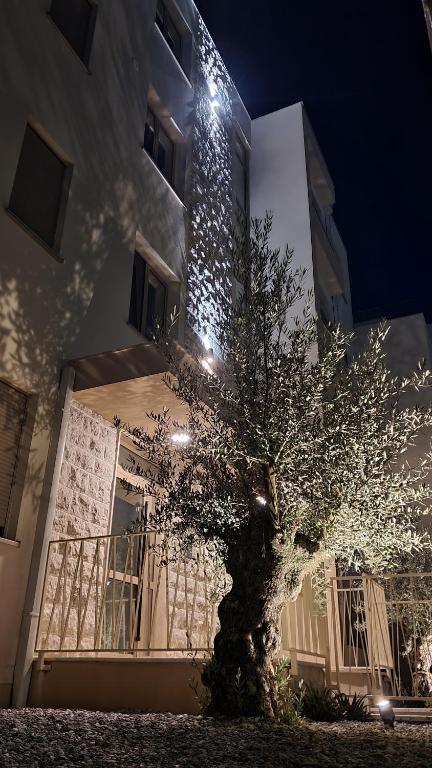 Bella Vista Residence D7 - Ferienwohnung Herceg Novi