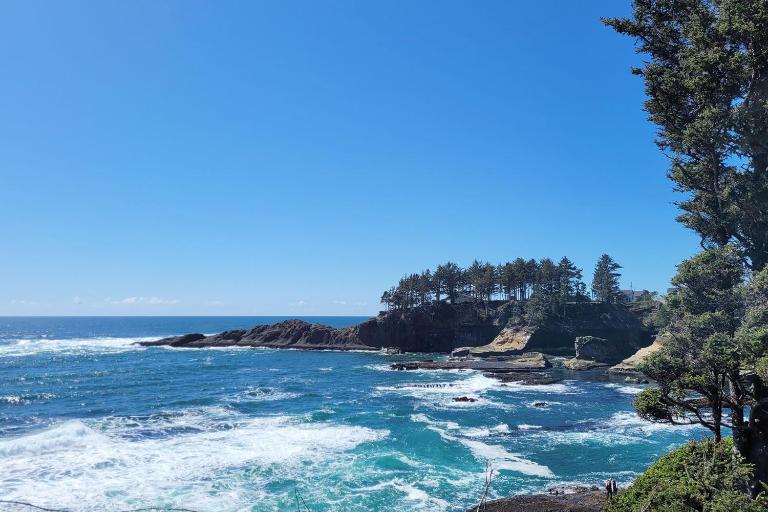 Ocean Front Condo, Walk to Everything! Whale Watcher's Point - Ferienwohnung Depoe Bay