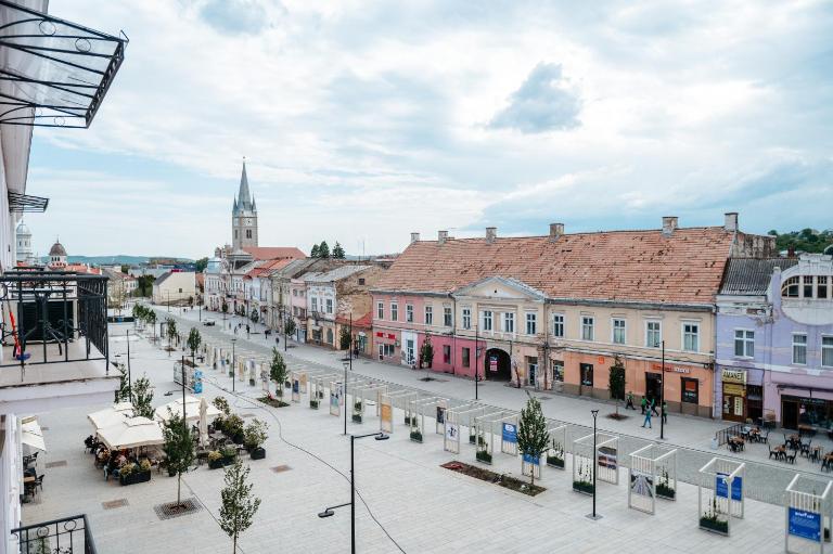 Central Nest - B&B Turda