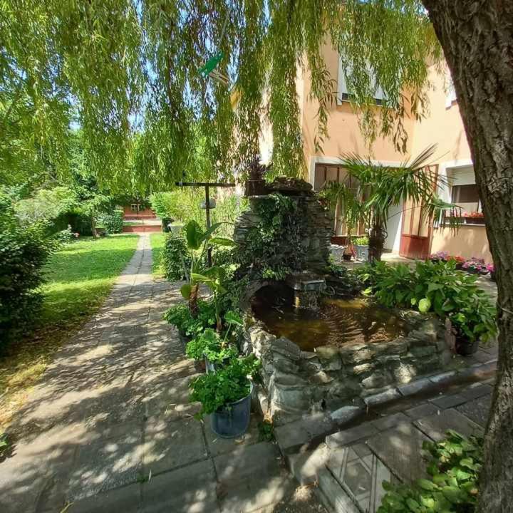 Smestaj VELjKOVIC - B&B Bela Crkva