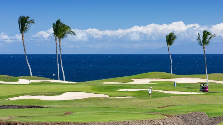 ❤PiH❤ Coastal Dreams Villa Ocean Front Walk to Private Beach Club Bikes - Chambres d'hôtes Waikoloa