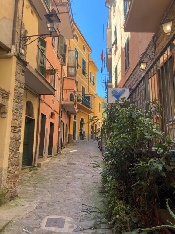 Grazioso appartamento a Monterosso - Chambres d'hôtes Monterosso al Mare