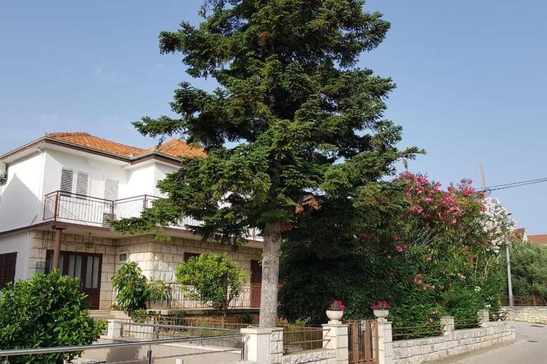 Apartman Petar - B&B Curzola