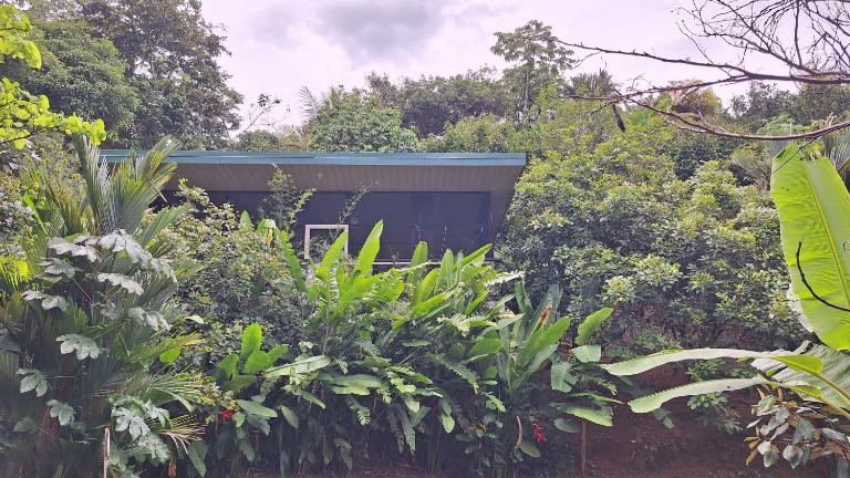 Cabinas fave - Bed and Breakfast Uvita