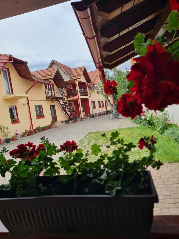 Vila Vlăduț - B&B Zărnești