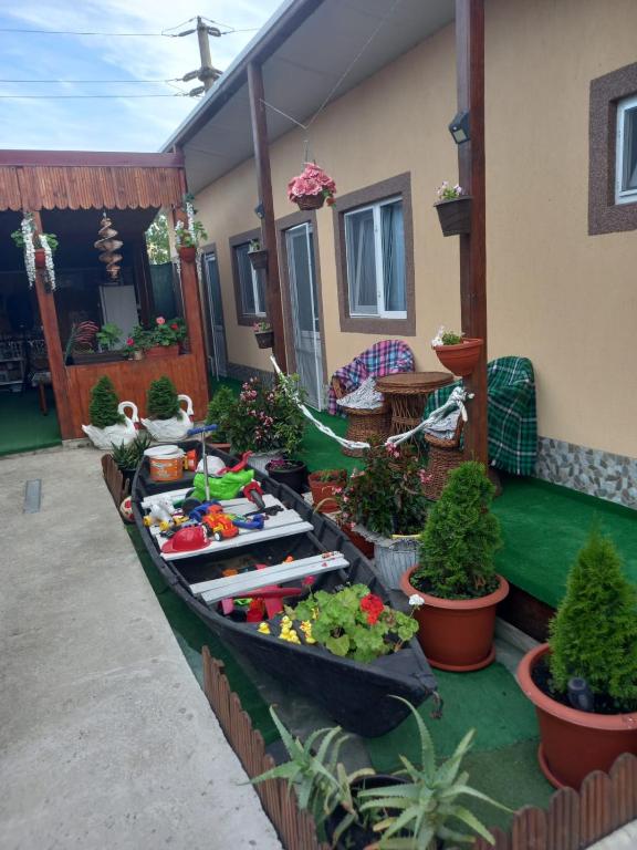 Casa Tulceanu - B&B Sulina