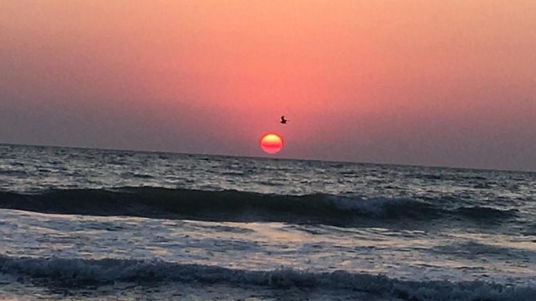 Lala's sweet nest by the sea side - B&B Neptun