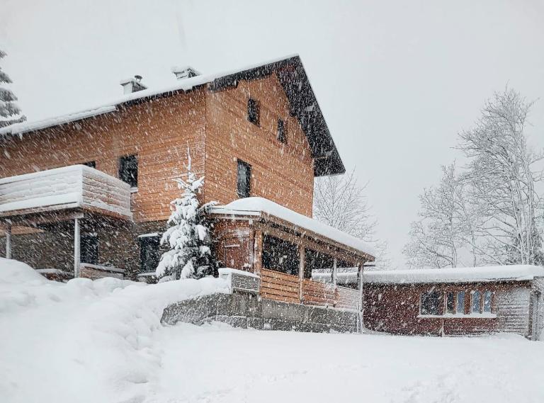 Almliesl GAST-719 - Ferienwohnung Bad Gastein