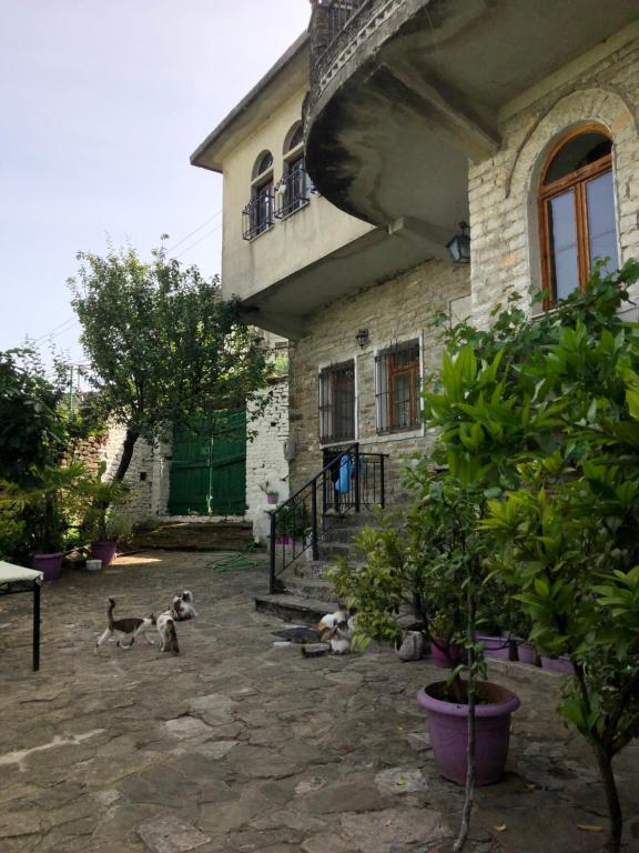 Stone Pazar Guest House - Bed and Breakfast Gjirokastër