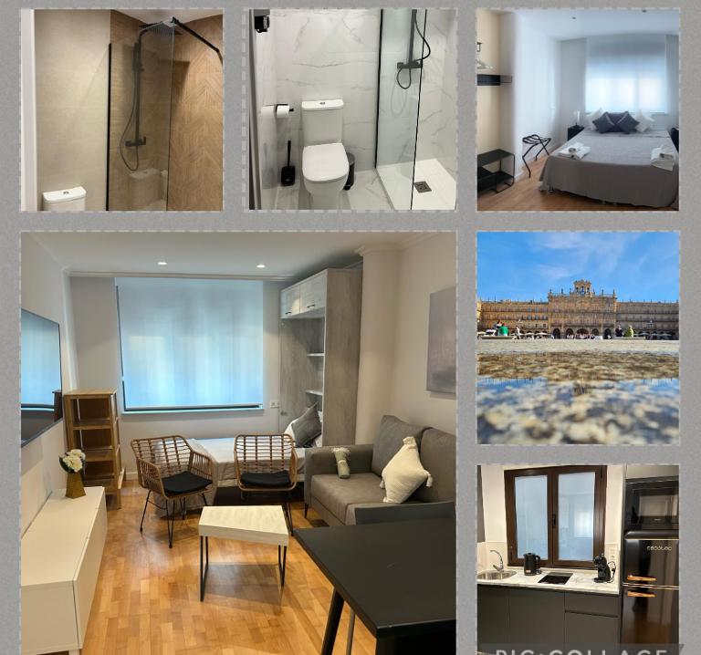 Willmark 3 - B&B Salamanca