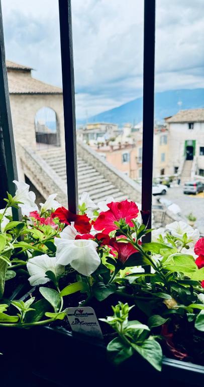Casa vacanza Città dei Papi Anagni - Bed and Breakfast Anagni