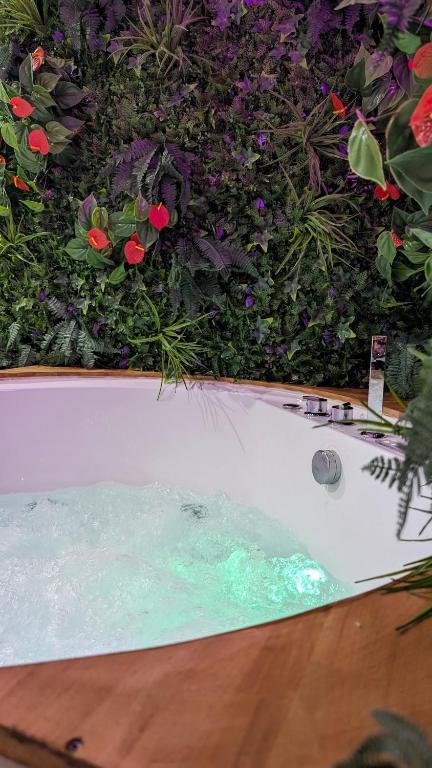 SUITE Roch'amore troglodyte Romantique et Unique - B&B La Garde