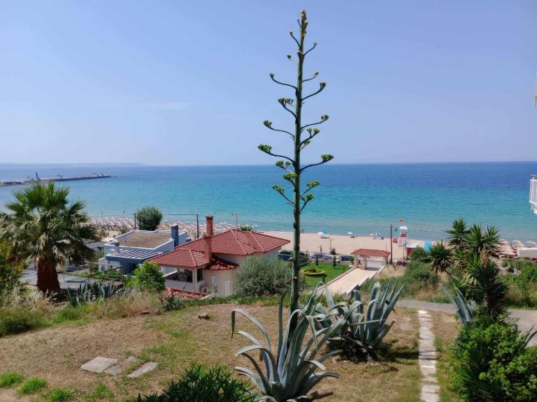 SEA PARADISE - B&B Nea Moudania