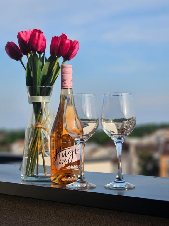 Apartman Sky - B&B Sremska Mitrovica