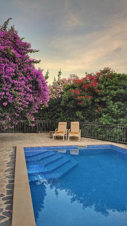 Villa Sazanka with private pool - B&B Kamenari