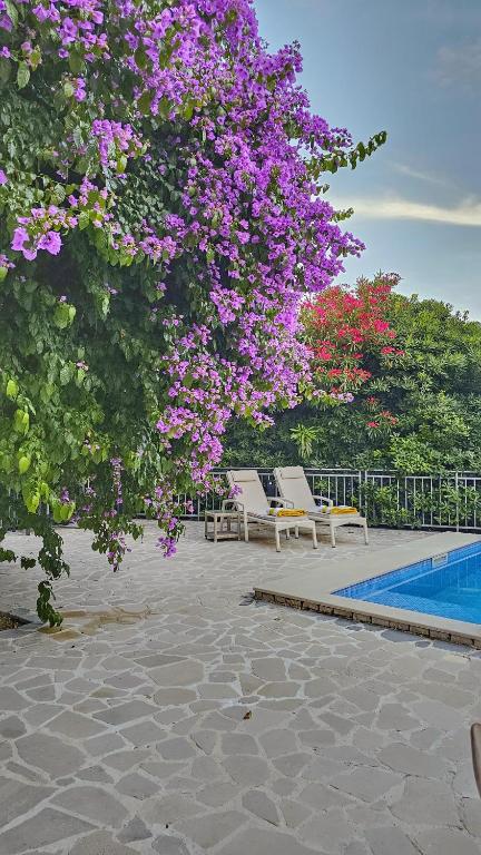 Villa Sazanka with private pool - Bed and Breakfast Kamenari