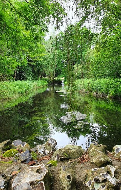 Moorcroft Homestay - B&B High Wycombe