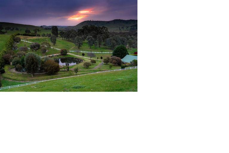 Daisy Hill Lodge - B&B Bonnie Doon