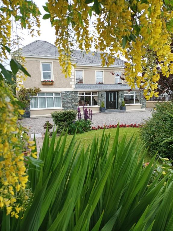 Kingfisher Lodge - B&B Killarney