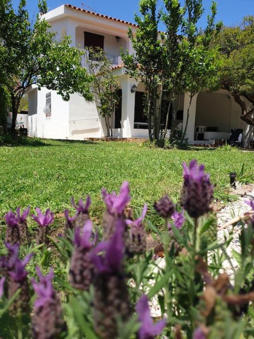 Villa Lentischio - B&B Tanaunella