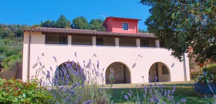 azienda agricola lo zolfino - B&B Penna